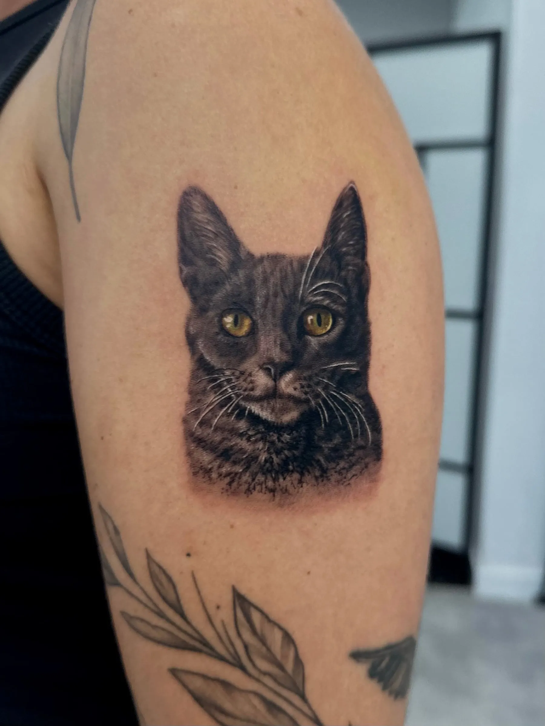 Retrato realista de un gato gris oscuro con los ojos en color ámbar, en la parte superior del brazo