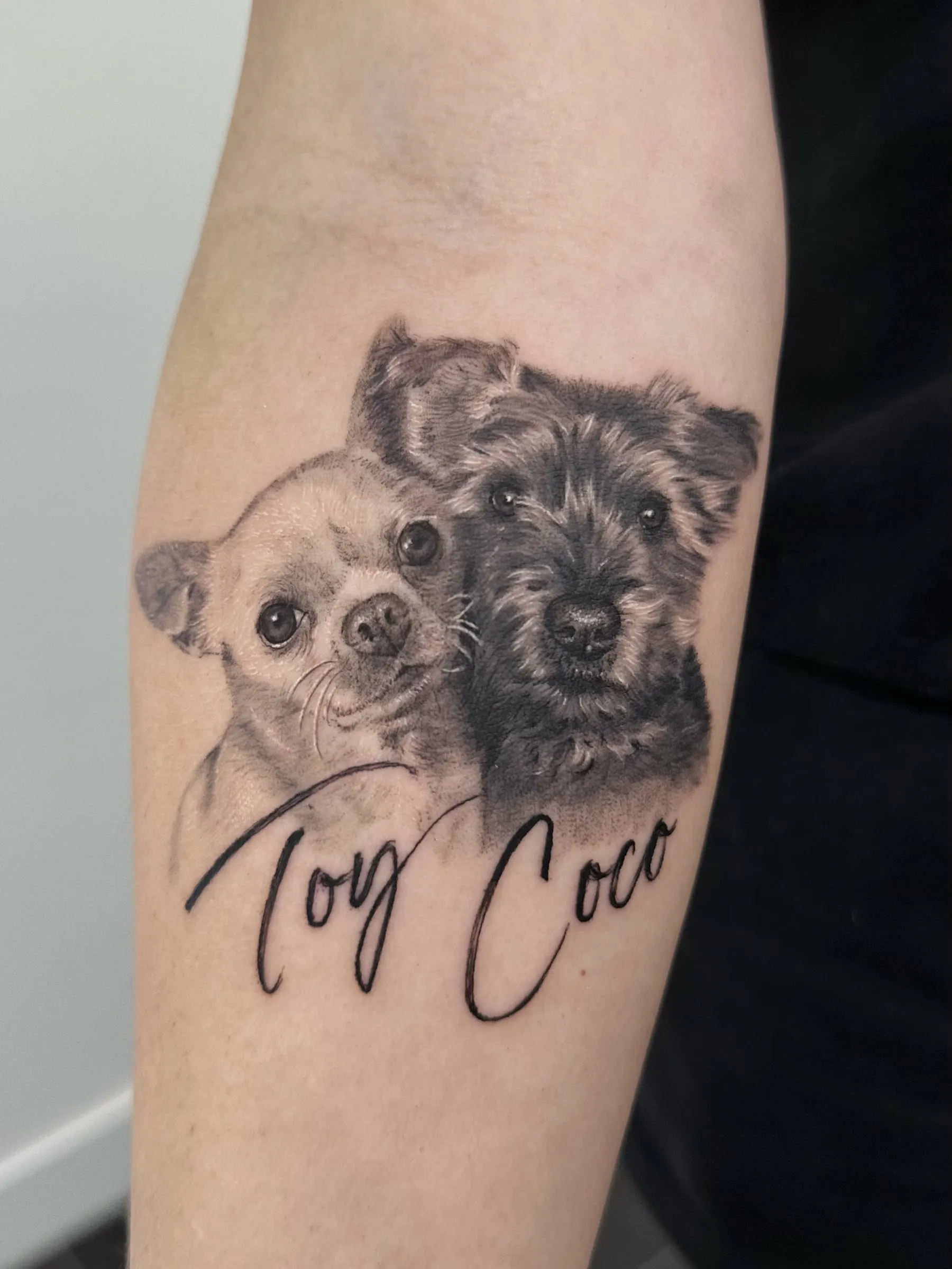 Retrato realista en negro y gris de dos perros juntos, un chihuahua y un perro de pelo rizado, con sus nombres Toy y Coco en letra caligráfica, en el antebrazo